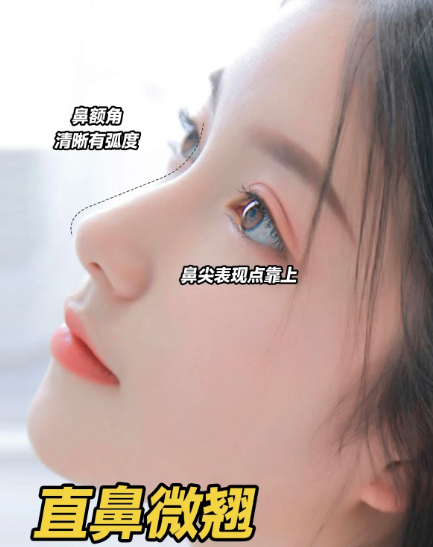 2023年主流爆款鼻型:直鼻微翘、高挺直鼻、微驼峰华丽鼻、妈生自然鼻哪个更好看